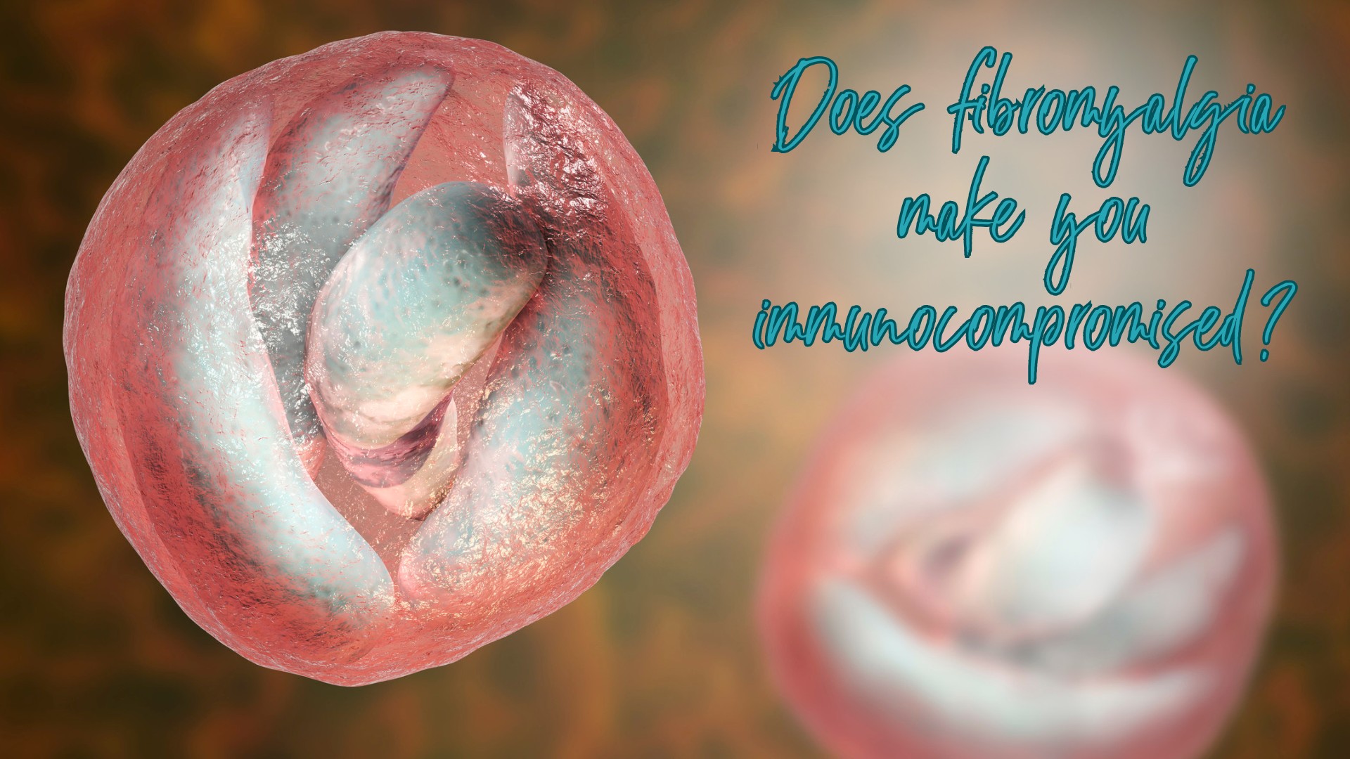 fibromyalgia make you immunocompromised